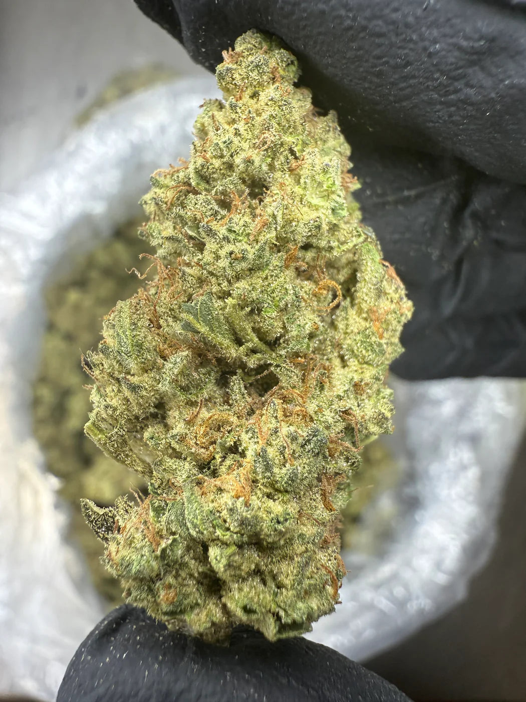 PASTEL LA KUSH - THCa - NUBE NUEVE