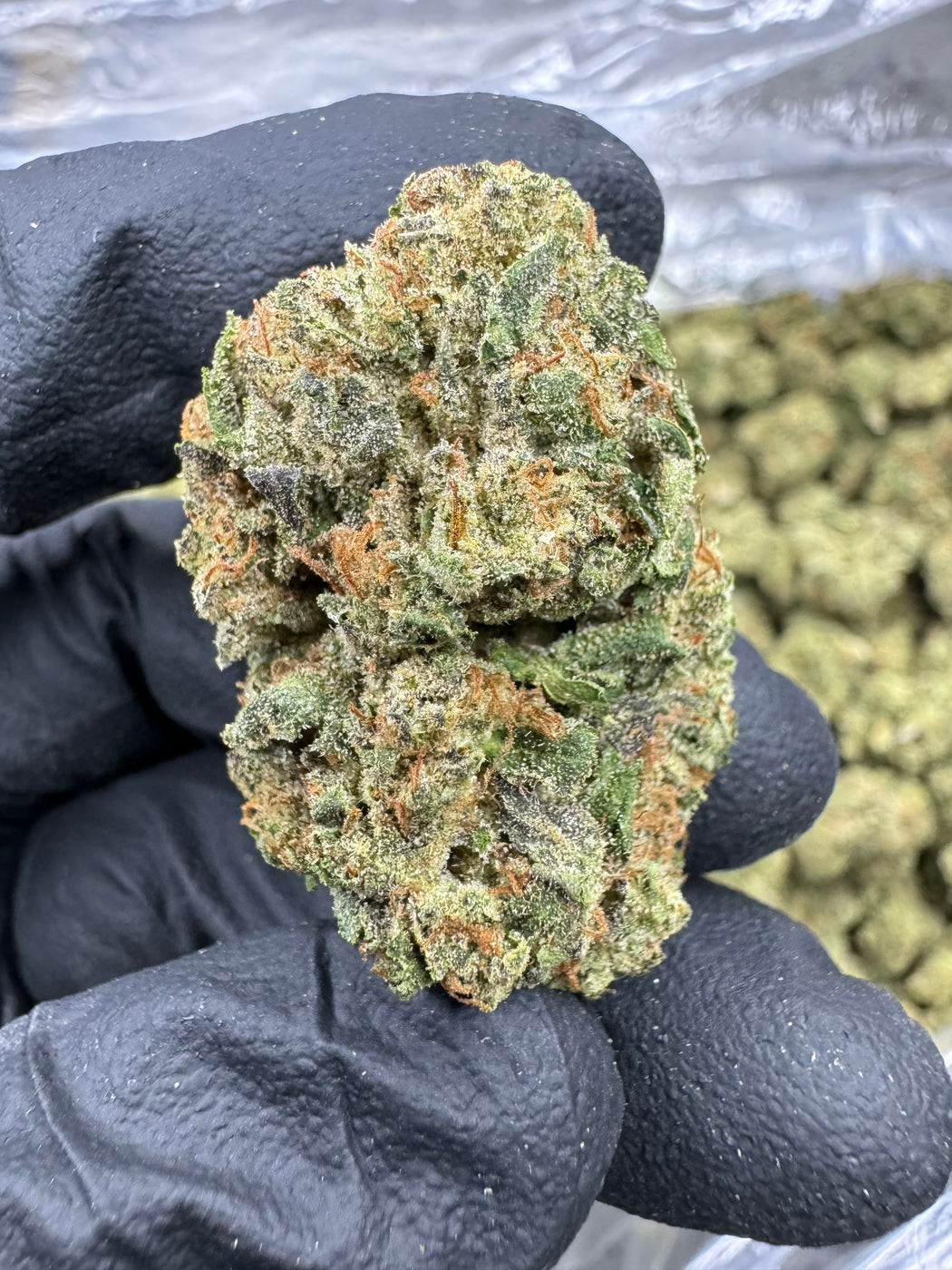 GELATO DE CEREZA Y LIMÓN - THCa - CLOUD NINE