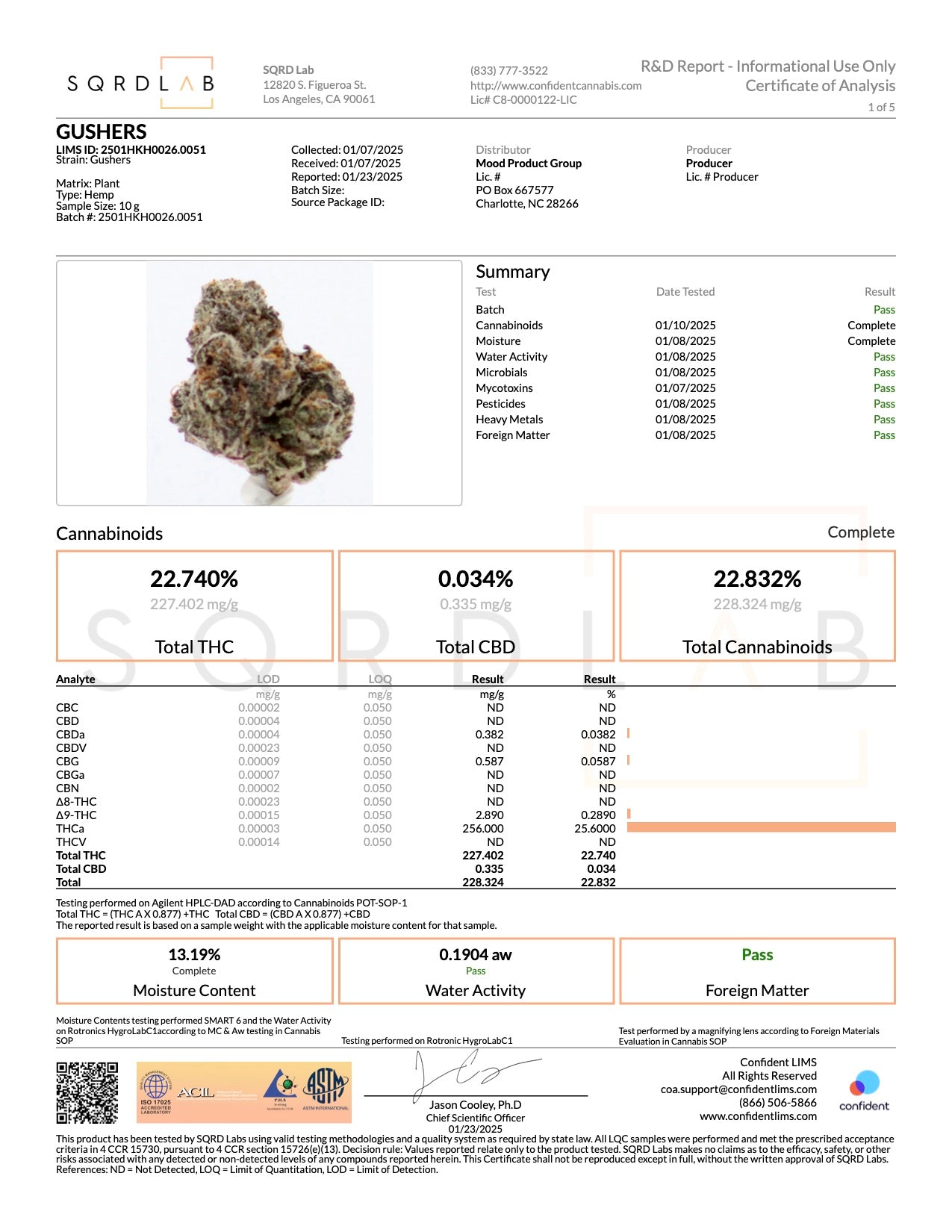 Gushers - THCa - Cloud 9